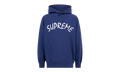 FTP Arc Logo Hoodie "SS21" SU11203