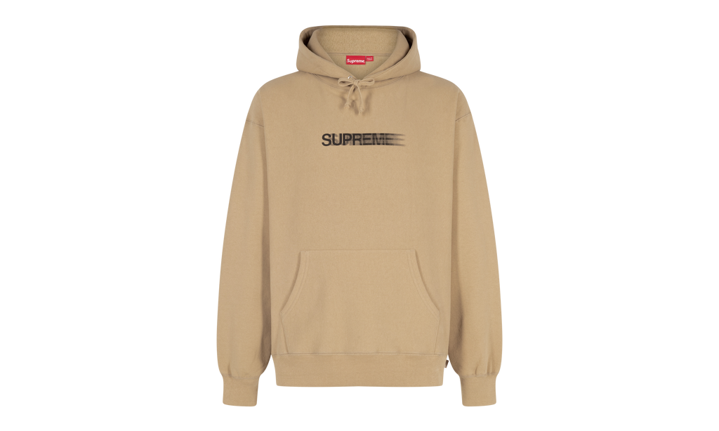 Motion Logo Hooded Sweatshirt "SS23" SU508