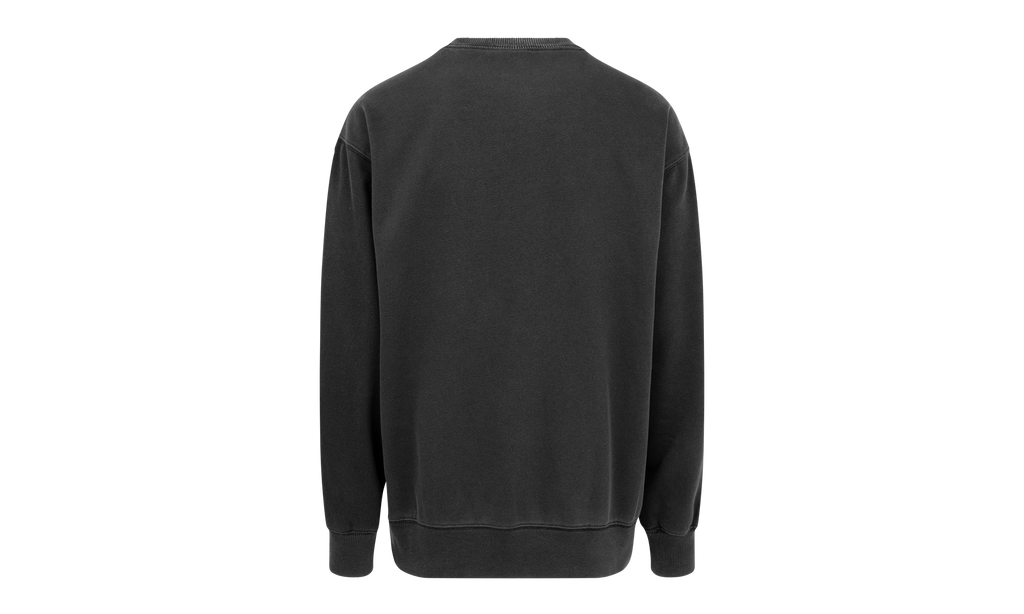 TNF Pigment Printed Crewneck "SS21" SU10648