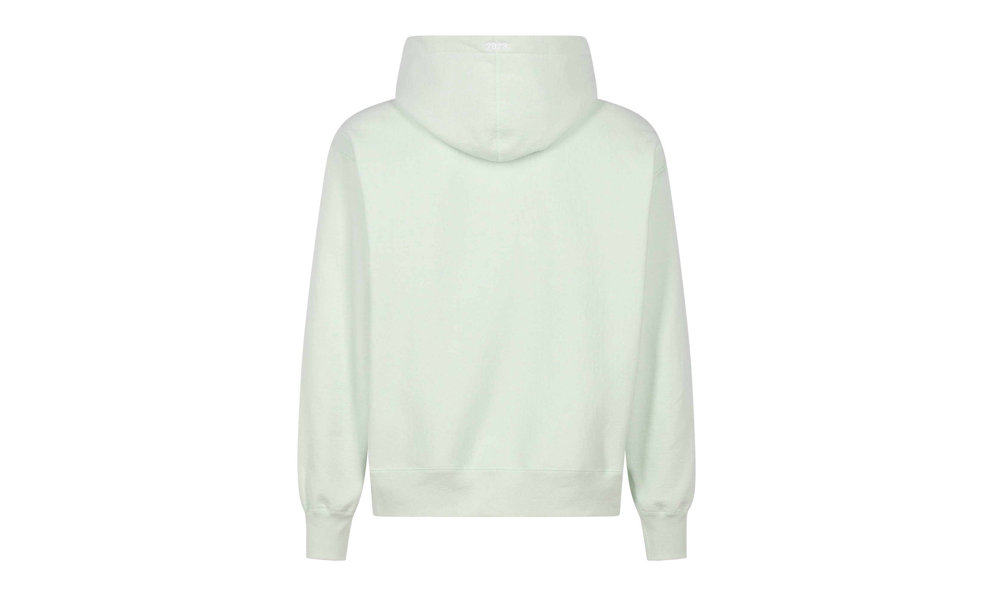 Box Logo Hoodie "FW23 - Light Green" SU100155