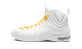 Air Bakin SP "Supreme - White" DX3292 100