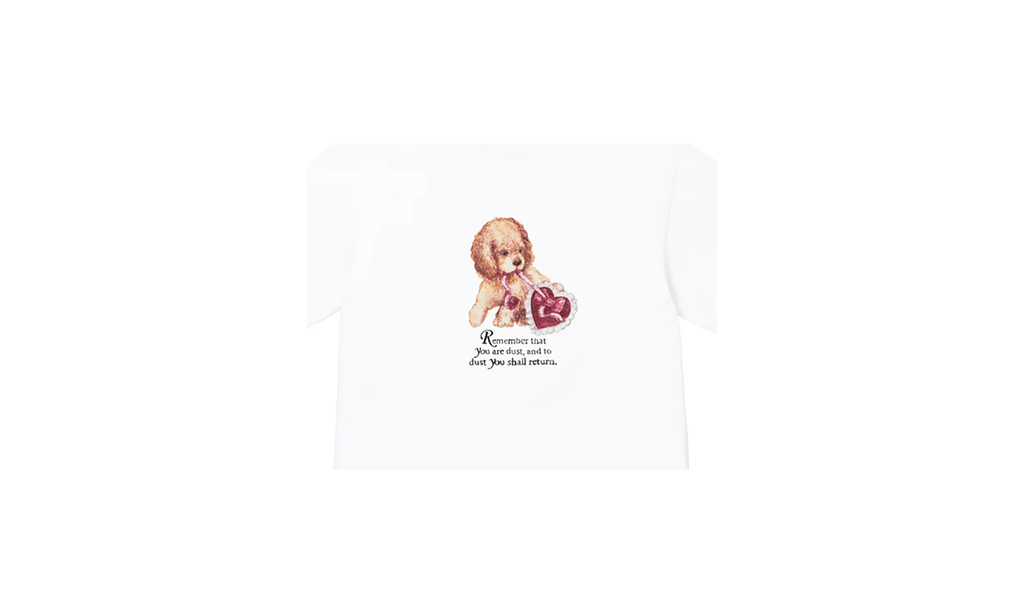 Dust Tee "FW25 - White" SU26817